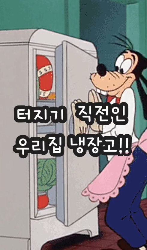 터지기 직전인 우리집 냉장고!